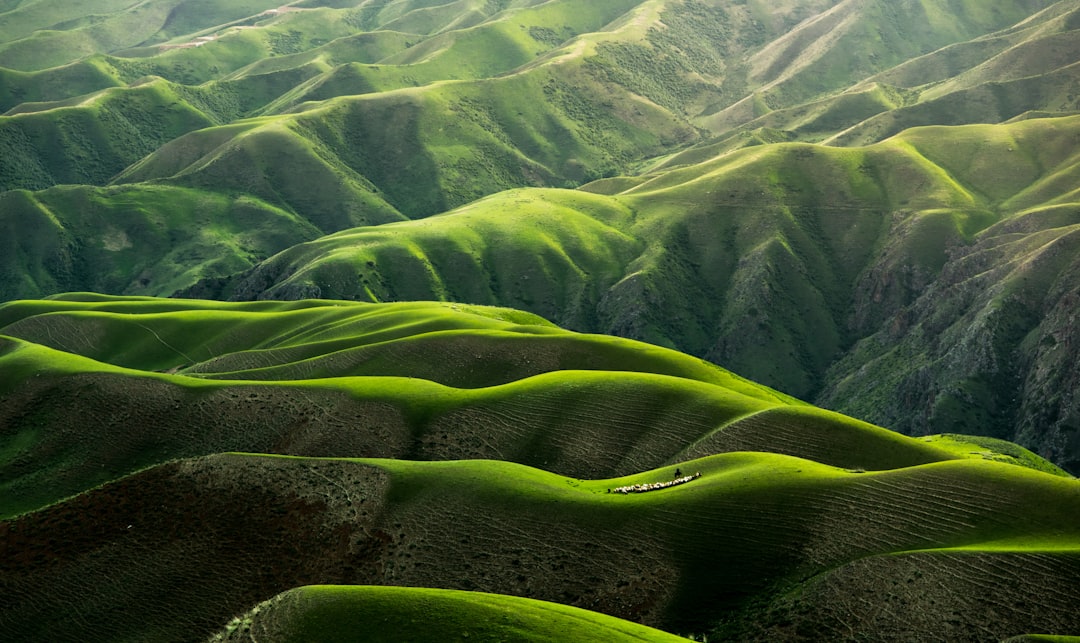 Editor's Choice Wallpaper