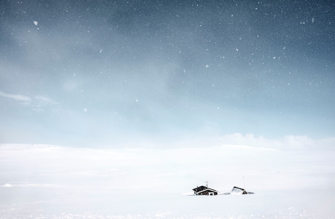 Editor's Choice Wallpaper