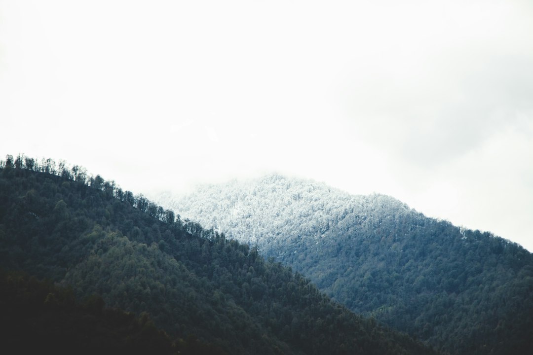 Editor's Choice Wallpaper