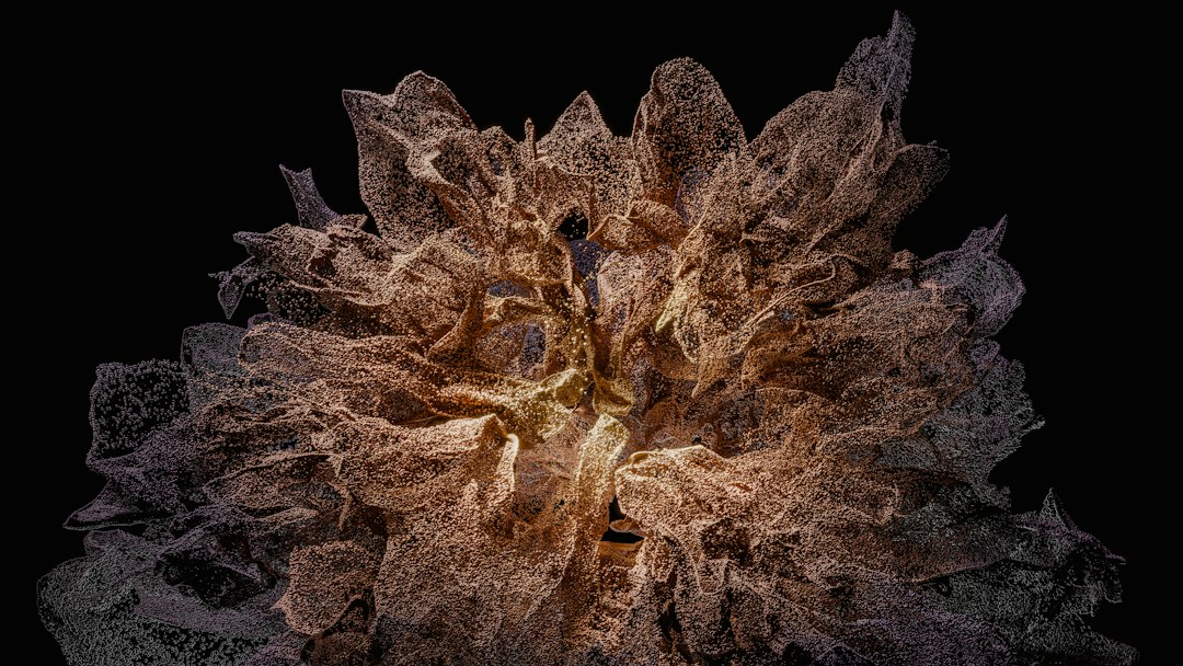 Editor's Choice Wallpaper