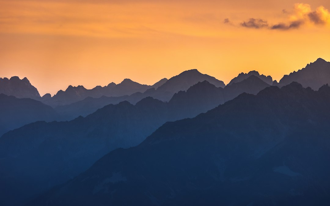 Editor's Choice Wallpaper