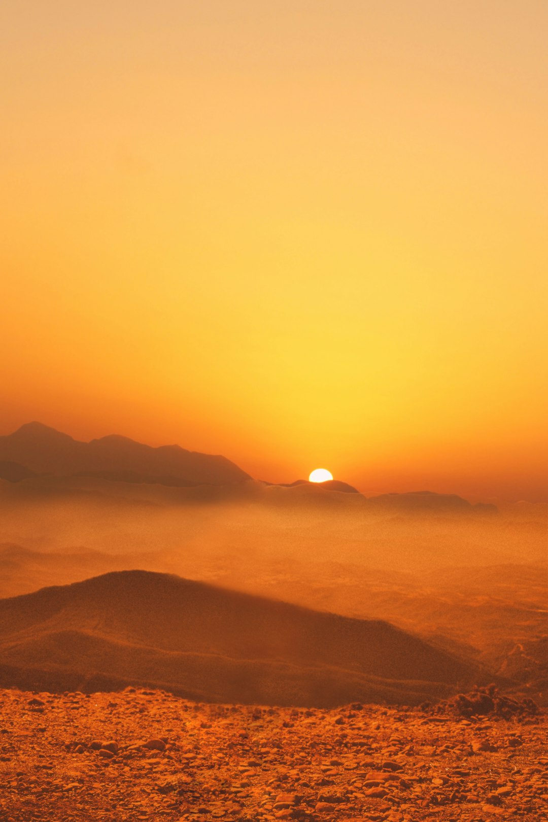 Editor's Choice Wallpaper