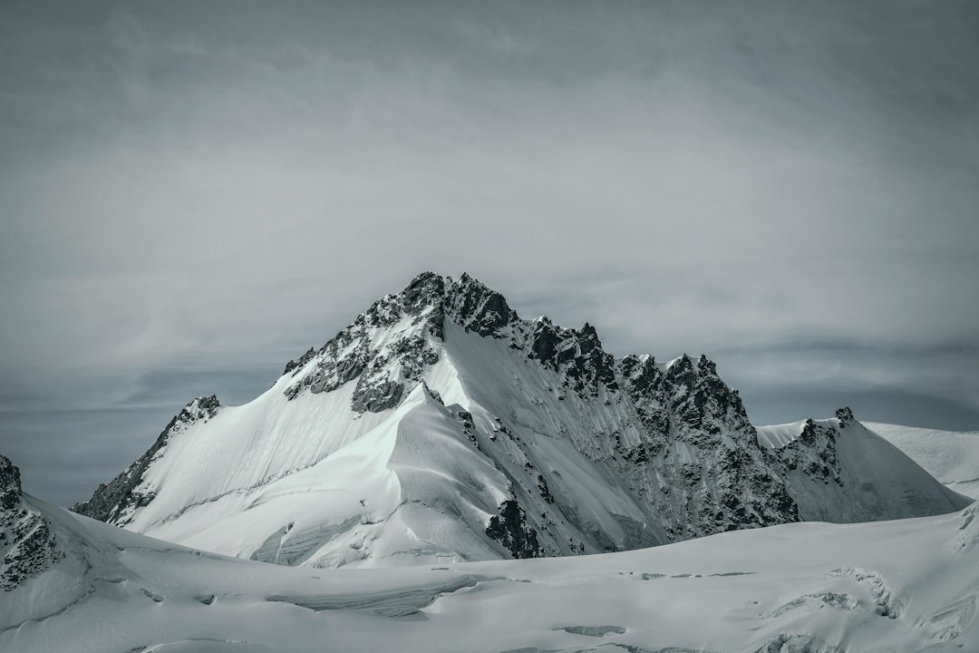 Editor's Choice Wallpaper