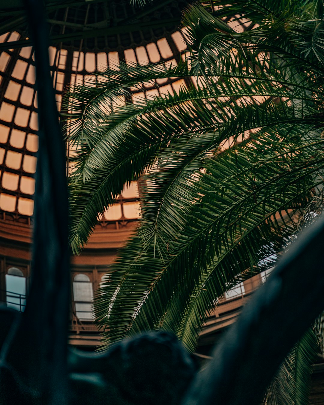 Editor's Choice Wallpaper