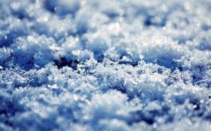 Community Photos - Frosted Macro Winter Landscape Wallpaper