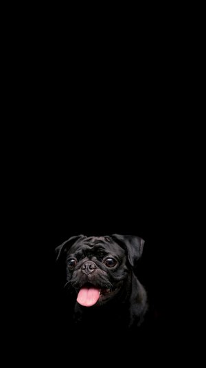Dark