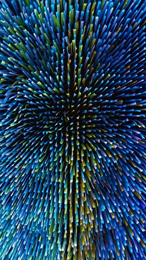 Editor's Choice - Blue Yellow Pattern Wallpaper