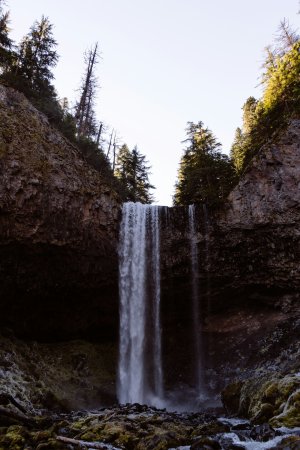 Editor's Choice - White Fir Waterfall Wallpaper