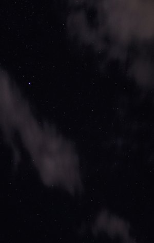 Night