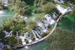 Editor's Choice - Serene Jungle Waterfall Wallpaper
