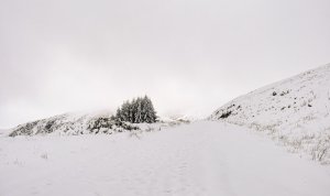 Winter Ski Slope Wallpaper