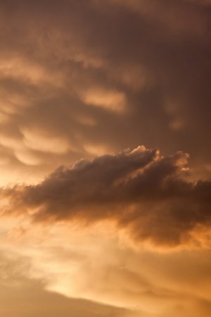 Editor's Choice Wallpapers