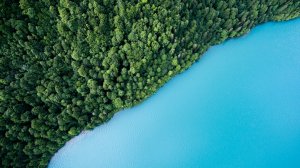 Editor's Choice - Aerial Swiss Lake Wallpaper