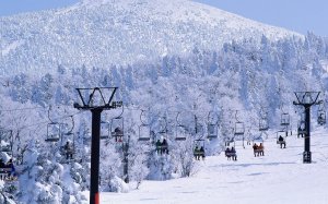 Snow