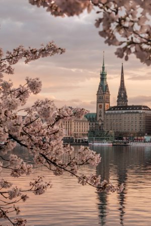 Editor's Choice - Hamburg Cityscape Spring Wallpaper
