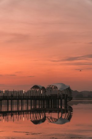 Editor's Choice Wallpapers
