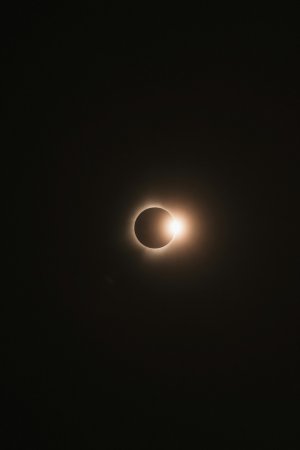 Editor's Choice - Montreal Lunar Eclipse Wallpaper