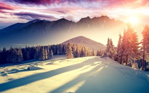 Collector's Choice - Winter Snowy Mountain Wallpaper
