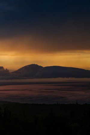 Editor's Choice - Misty Forest Sunset Wallpaper