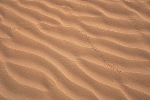 Editor's Choice - Purple Sand Dune Wallpaper