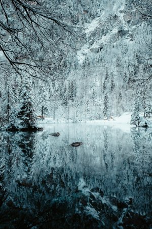 Editor's Choice Wallpapers