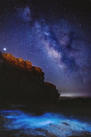 Outer Space