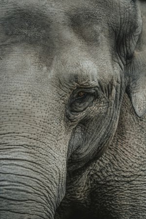 Editor's Choice - Editor's Choice Wallpaper