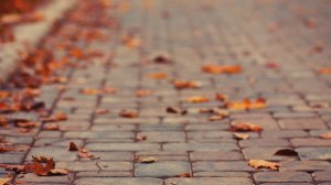 Community Photos - Autumn Leaves Pavement Wallpaper