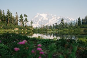 Editor's Choice - Vibrant Summer Hike Wallpaper