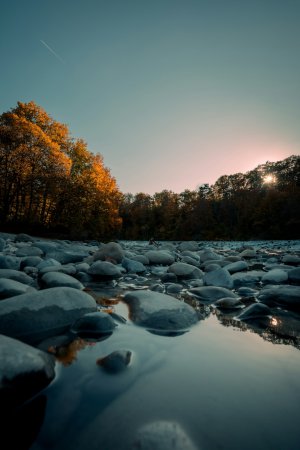Editor's Choice - Serene Turtle Creek Wallpaper