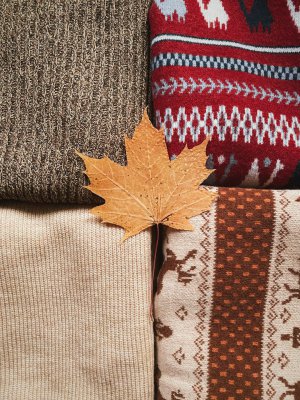 Editor's Choice - Editor's Choice Wallpaper