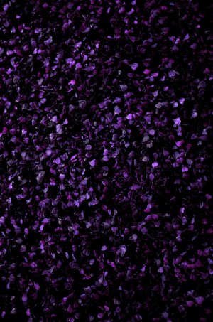 Editor's Choice - Editor's Choice Wallpaper