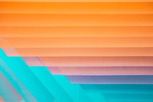 Collector's Choice - Collector's Choice Wallpaper