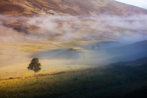 Collector's Choice - Misty Highlands Sunrise Wallpaper