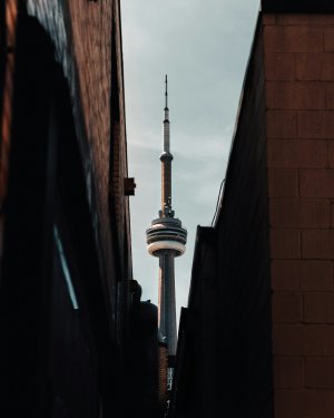 Collector's Choice - Urban High Rise Wallpaper