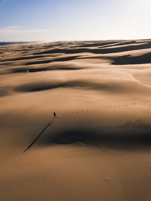 Collector's Choice - Desert Sunset Runner Wallpaper