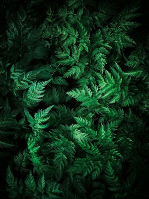 Texture