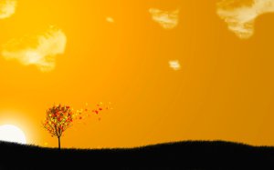 Community Photos - Fall Sunset Field Wallpaper