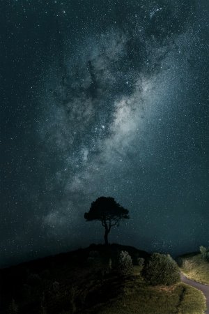 Collector's Choice - Stars Milky Way Wallpaper