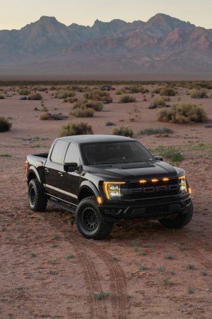 Collector's Choice - Ford Raptor Desert Adventure Wallpaper