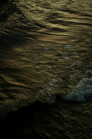 Collector's Choice Wallpapers