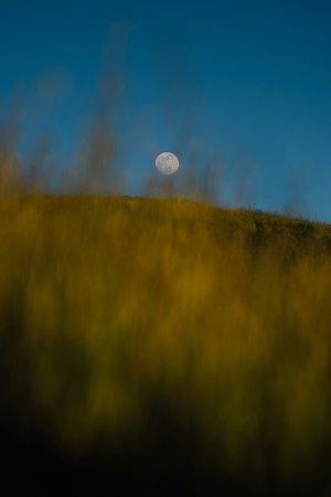 Collector's Choice - Moonrise Field California Wallpaper