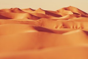 Collector's Choice - Yazd Desert Dunes Wallpaper