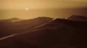Collector's Choice - Desert Dunes Horizon Wallpaper