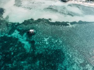 Collector's Choice - Aerial Coral Reef Scenery Wallpaper