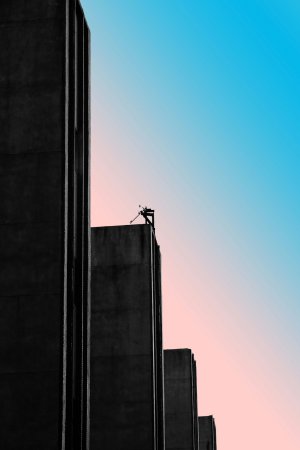Collector's Choice - Taipei Pink Gradient Silhouettes Wallpaper