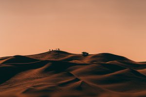Collector's Choice - Dubai Desert Sunset Safari Wallpaper