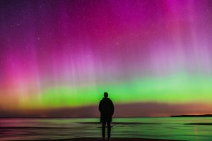 Collector's Choice - Silent Aurora Dreams Wallpaper