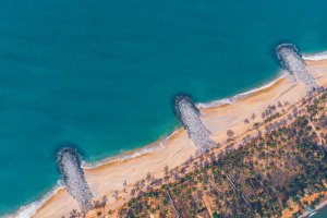Collector's Choice - Collector's Choice Wallpaper
