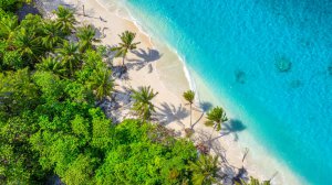 Collector's Choice - Tropical Maldives Coast Wallpaper